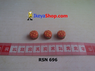 rsn 696  large2